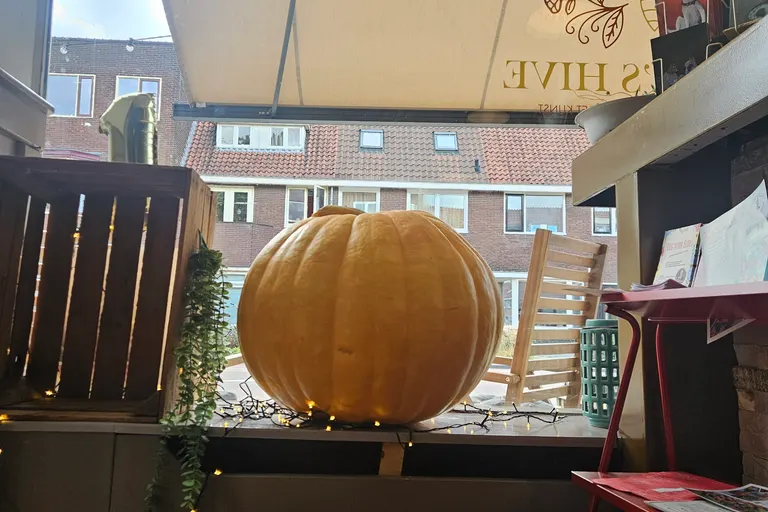 Grote pompoen in een raam